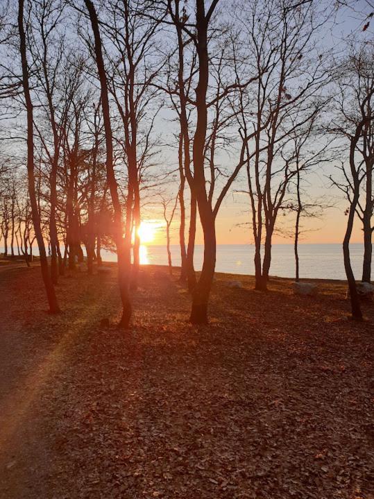 Stancija Cervar * Poreč